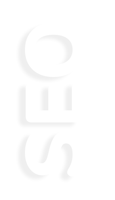 seo_text (2) (1)